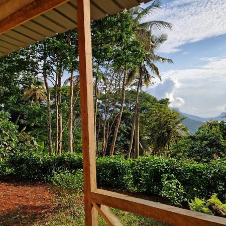 World'S View Wild Camping Salaszoi, Principe Island Santo Antonio Экстерьер фото