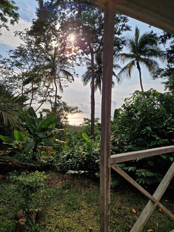 World'S View Wild Camping Salaszoi, Principe Island Santo Antonio Экстерьер фото